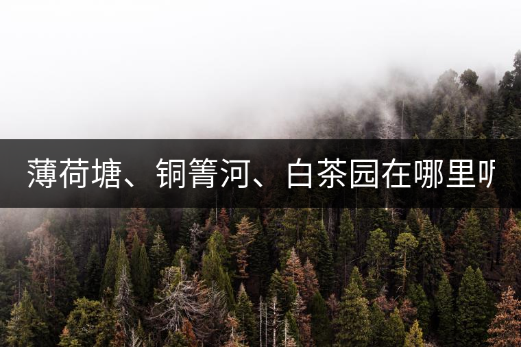 薄荷塘、銅箐河、白茶園在哪里呢?薄荷塘、銅箐河、白茶園在哪里呢？