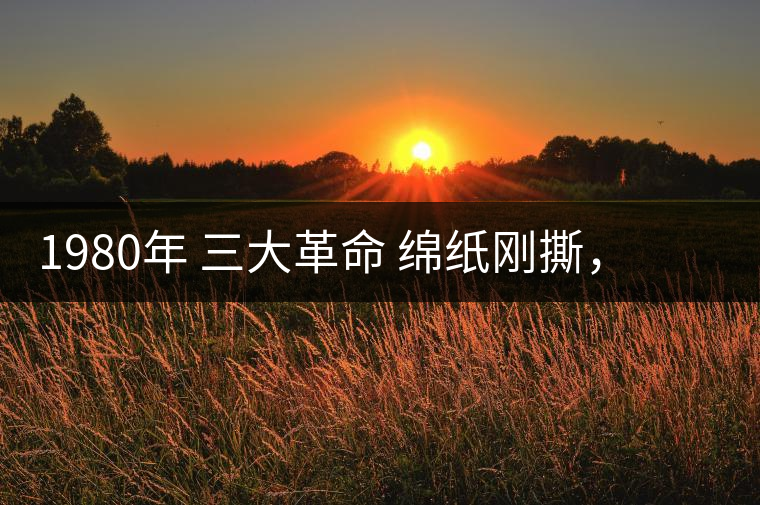 1980年 三大革命 綿紙剛撕，品相極好，整體干凈漂亮1980年 三大革命 綿紙剛撕，品相極好，整體干凈漂亮