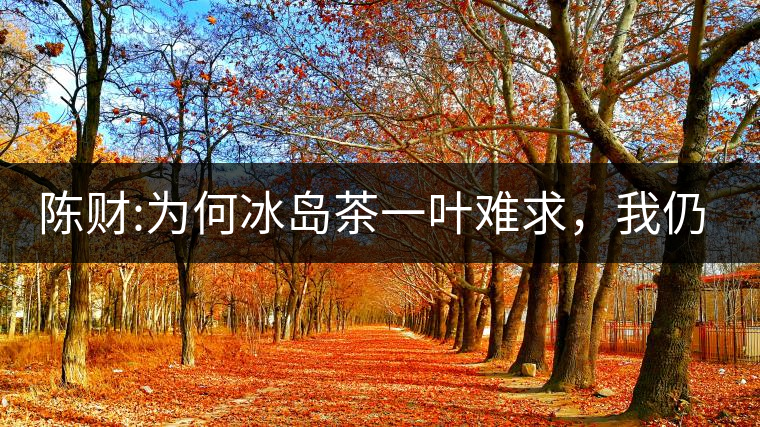 陳財(cái):為何冰島茶一葉難求，我仍然堅(jiān)持