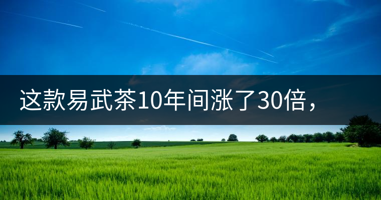 這款易武茶10年間漲了30倍，但已芳蹤罕見