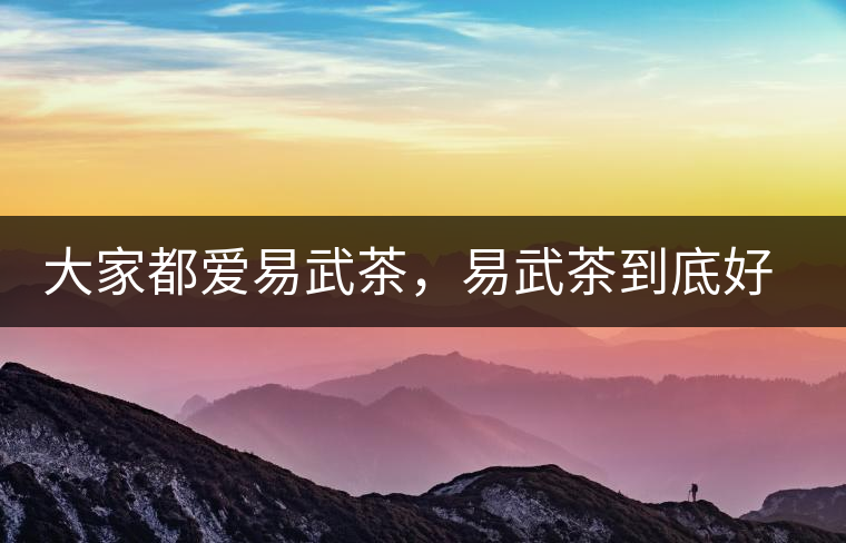 大家都愛易武茶，易武茶到底好在哪兒?大家都愛易武茶，易武茶到底好在哪兒？