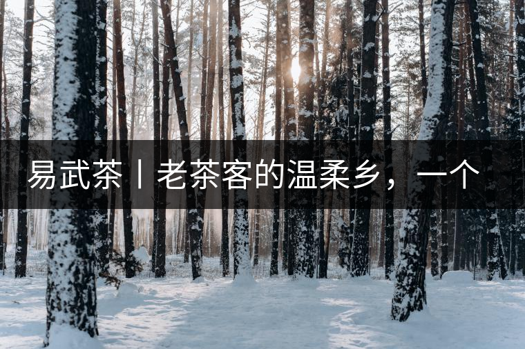 易武茶丨老茶客的溫柔鄉(xiāng)，一個(gè)“柔”字迷倒了多少英雄漢！