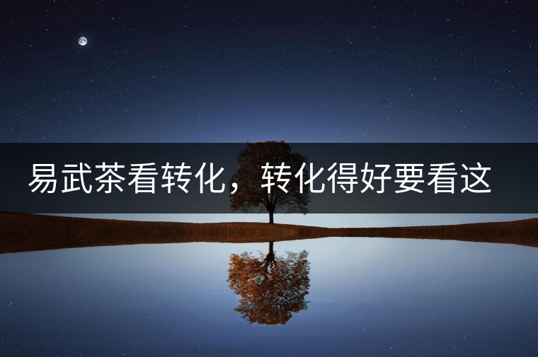 易武茶看轉(zhuǎn)化，轉(zhuǎn)化得好要看這三要素及品牌優(yōu)勢！