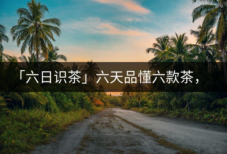 「六日識茶」六天品懂六款茶，從此愛上山頭茶