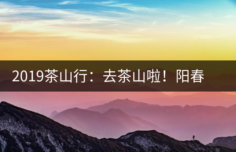 2019茶山行：去茶山啦！陽春三月，和南茗佳人一起上山喝好茶！