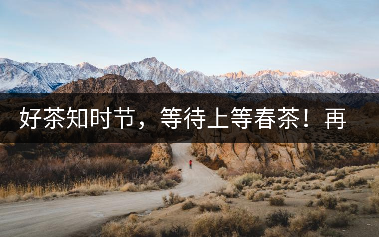 好茶知時(shí)節(jié)，等待上等春茶！再來回味這些年喝過的小戶賽古樹春茶