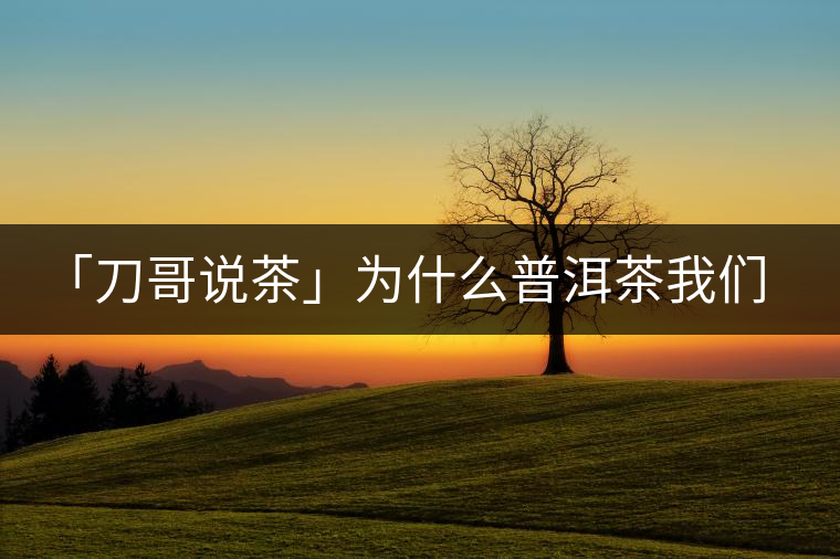 「刀哥說茶」為什么普洱茶我們情愿選三無？