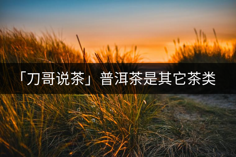 「刀哥說(shuō)茶」普洱茶是其它茶類的終結(jié)者