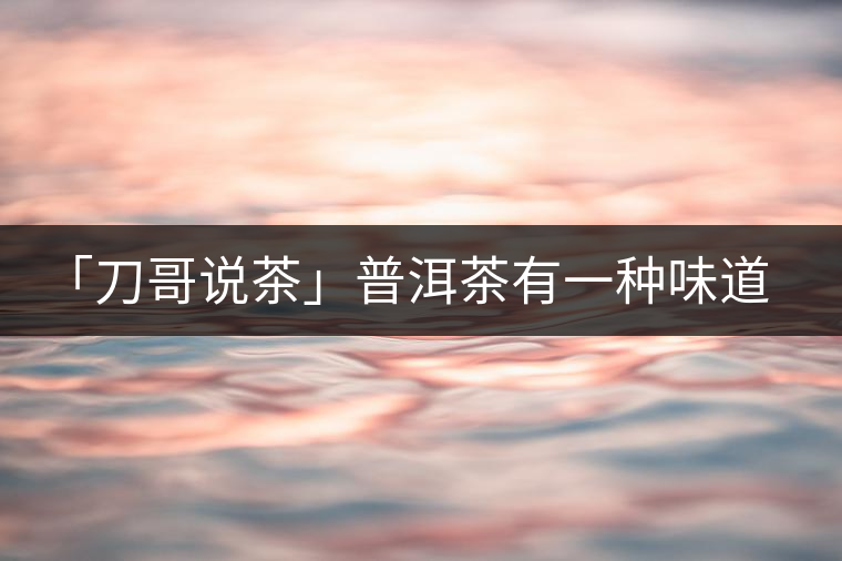 「刀哥說茶」普洱茶有一種味道，只可意會不可言傳