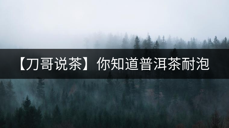 【刀哥說茶】你知道普洱茶耐泡，那你知道哪一類普洱茶比較耐泡？