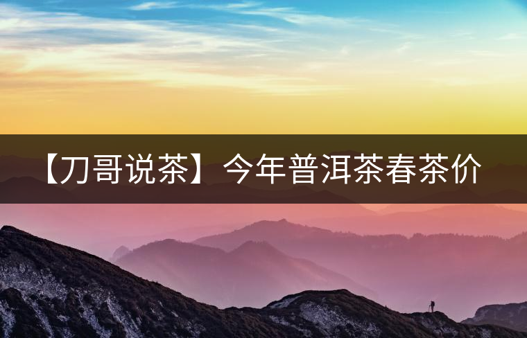 【刀哥說茶】今年普洱茶春茶價格，我不預測