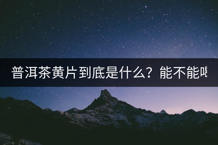 普洱茶黃片到底是什么？能不能喝？