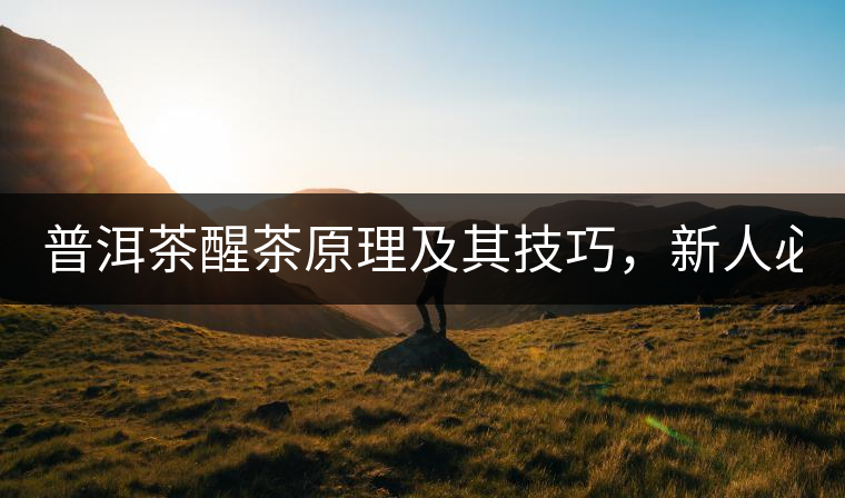 普洱茶醒茶原理及其技巧，新人必備！
