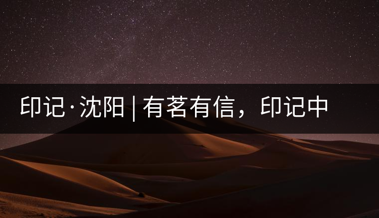 印記·沈陽(yáng) | 有茗有信，印記中茶，中茶普洱亮相沈陽(yáng)茶博會(huì)