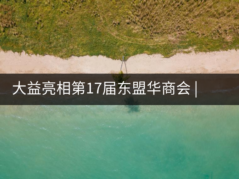 大益亮相第17屆東盟華商會(huì) | 海內(nèi)外嘉賓共謀發(fā)展，共品大益茶