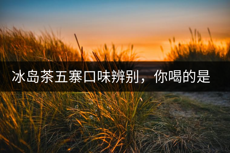 冰島茶五寨口味辨別，你喝的是正宗冰島茶嗎?冰島茶五寨口味辨別，你喝的是正宗冰島茶嗎？