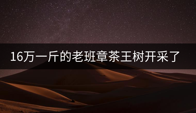 16萬一斤的老班章茶王樹開采了，茶友果斷拉了一車現(xiàn)金去...16萬一斤的老班章茶王樹開采了，茶友果斷拉了一車現(xiàn)金去！