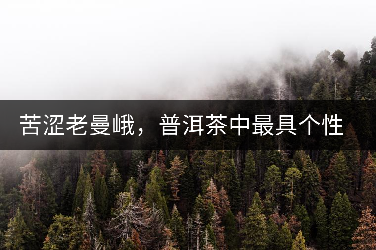 苦澀老曼峨，普洱茶中最具個性的“布朗味”苦澀老曼峨，普洱茶中最具個性的“布朗味”