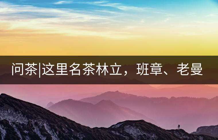 問茶|這里名茶林立，班章、老曼峨皆在其列!問茶｜這里名茶林立，班章、老曼峨皆在其列！