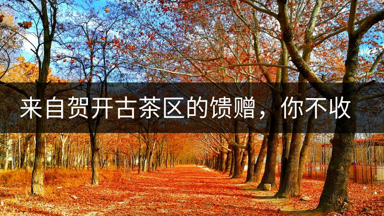 來自賀開古茶區(qū)的饋贈，你不收一波嗎?來自賀開古茶區(qū)的饋贈，你不收一波嗎？