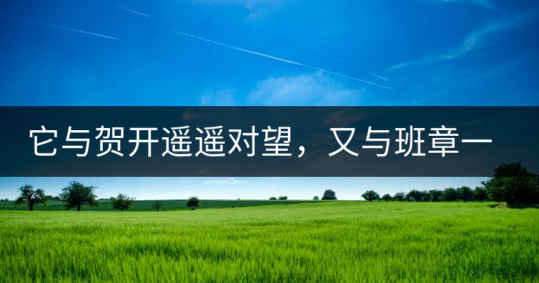 它與賀開遙遙對望，又與班章一衣帶水，它是班盆古樹春尖它與賀開遙遙對望，又與班章一衣帶水，它是班盆古樹春尖