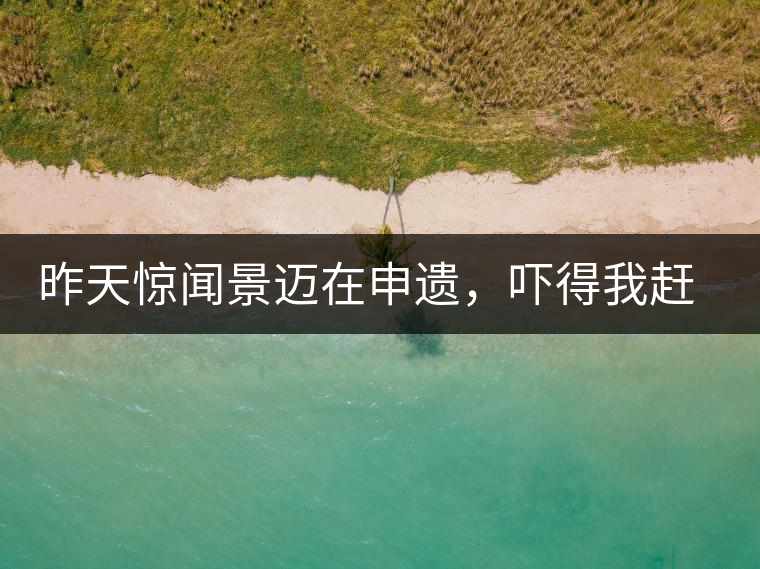 昨天驚聞景邁在申遺，嚇得我趕緊拿出景邁茶……昨天驚聞景邁在申遺，嚇得我趕緊拿出景邁茶……