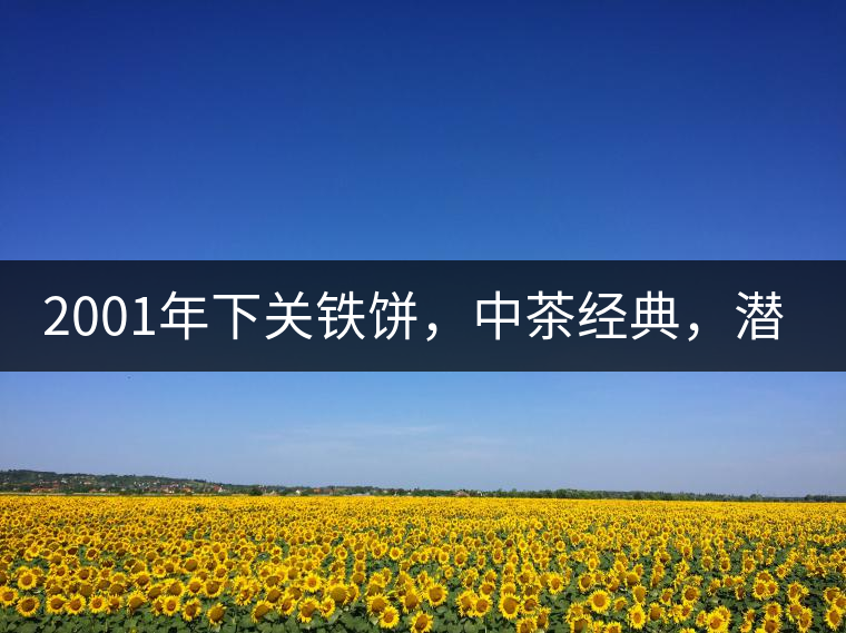 2001年下關(guān)鐵餅，中茶經(jīng)典，潛力可期!