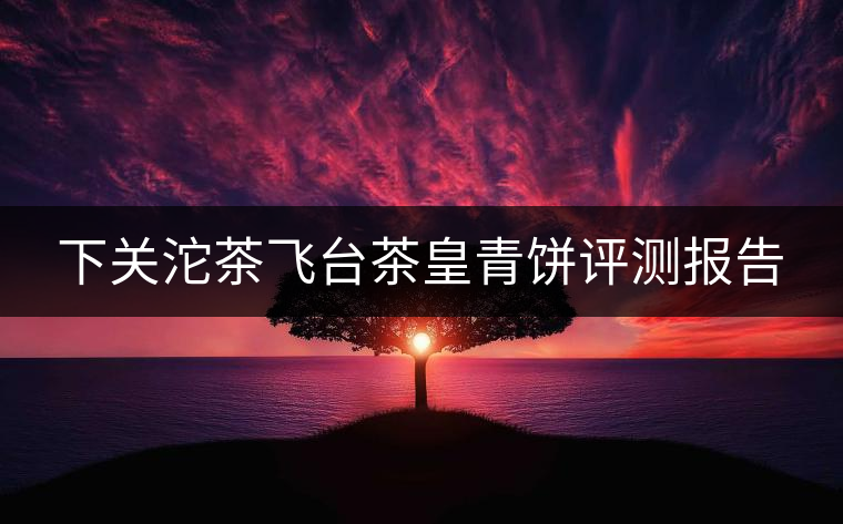 下關沱茶飛臺茶皇青餅評測報告