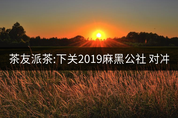 茶友派茶:下關(guān)2019麻黑公社 對沖 中茶2019易武豬茶友派茶：下關(guān)2019麻黑公社 對沖 中茶2019易武豬