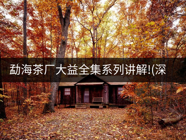 勐海茶廠大益全集系列講解!(深度講解大益茶品，建議收藏...勐海茶廠大益全集系列講解?。ㄉ疃戎v解大益茶品，建議收藏）