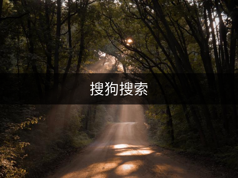 搜狗搜索 搜狗搜索