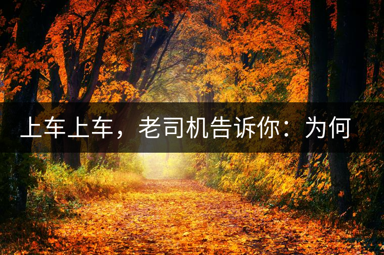 上車上車，老司機(jī)告訴你：為何明前茶貴如金