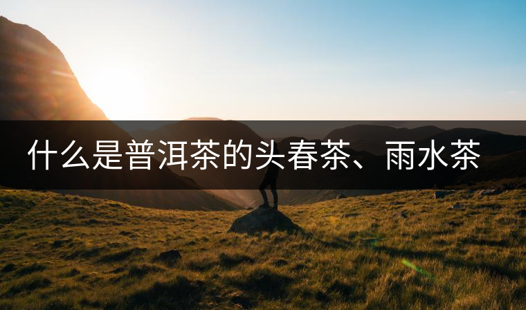什么是普洱茶的頭春茶、雨水茶和谷花茶，怎樣區(qū)別？