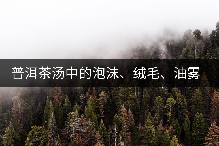 普洱茶湯中的泡沫、絨毛、油霧、絮狀物……原來是這些東西！