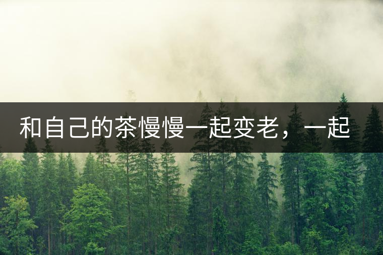 和自己的茶慢慢一起變老，一起變好