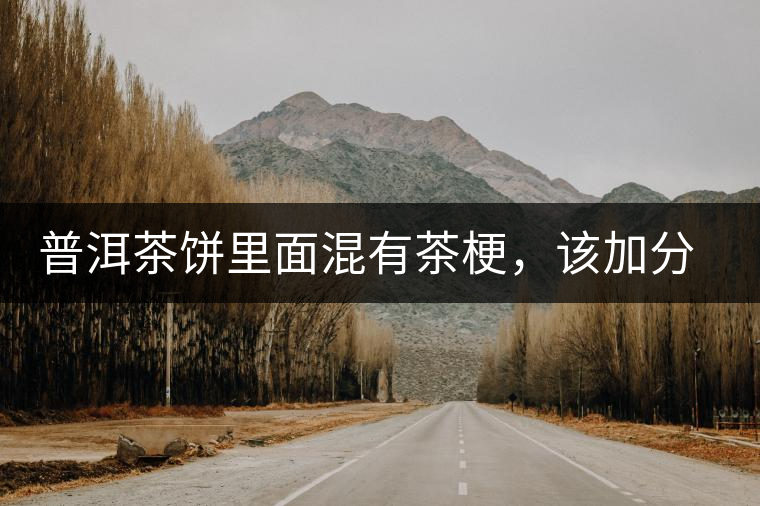 普洱茶餅里面混有茶梗，該加分還是減分？