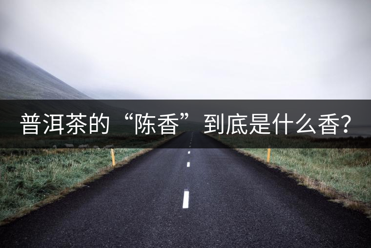 普洱茶的“陳香”到底是什么香？