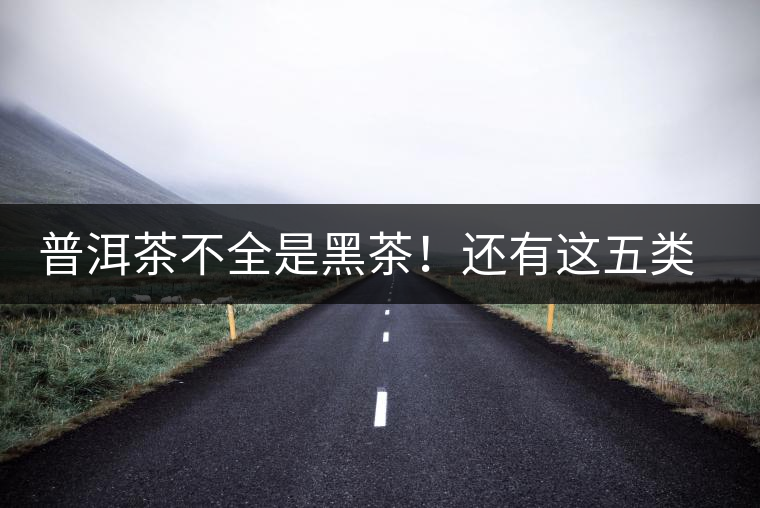 普洱茶不全是黑茶！還有這五類茶，現(xiàn)在知道還不算晚