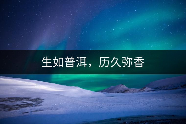 生如普洱，歷久彌香