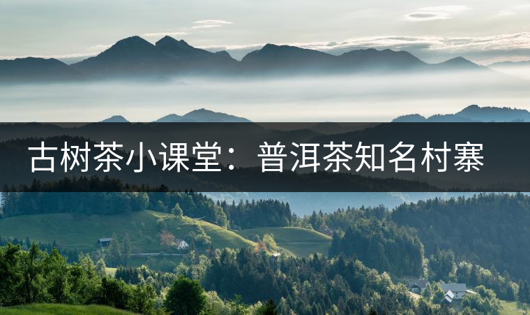 古樹茶小課堂：普洱茶知名村寨的生態(tài)環(huán)境如何？