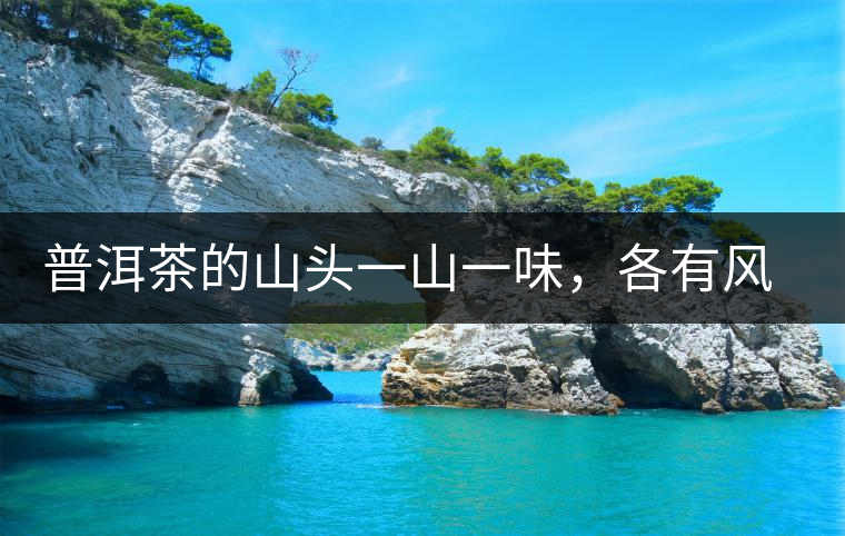 普洱茶的山頭一山一味，各有風(fēng)格