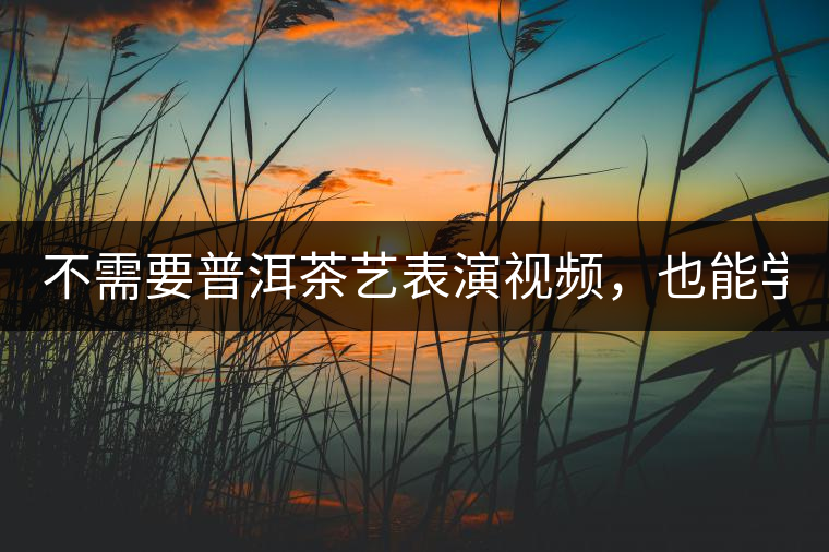 不需要普洱茶藝表演視頻，也能學(xué)會(huì)的茶藝！