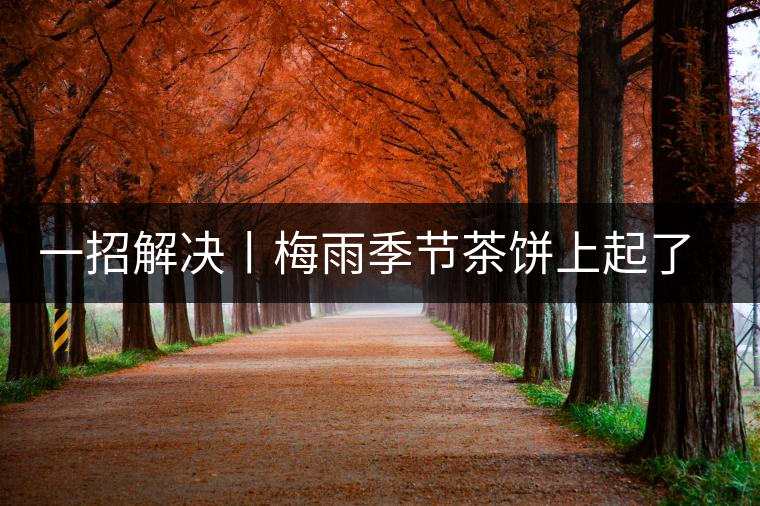 一招解決丨梅雨季節(jié)茶餅上起了白霜白點怎么辦？