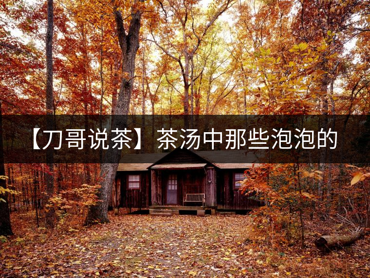 【刀哥說茶】茶湯中那些泡泡的始作俑者，茶皂素只是其中一個