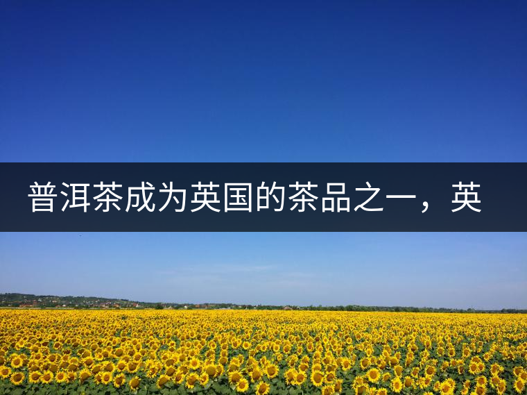 普洱茶成為英國的茶品之一，英國雜志給出7大理由