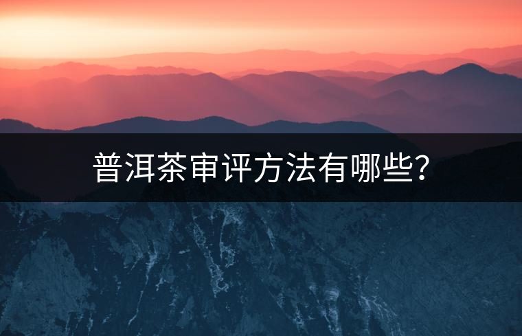 普洱茶審評方法有哪些？