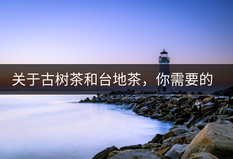 關(guān)于古樹茶和臺地茶，你需要的知識全在這里了