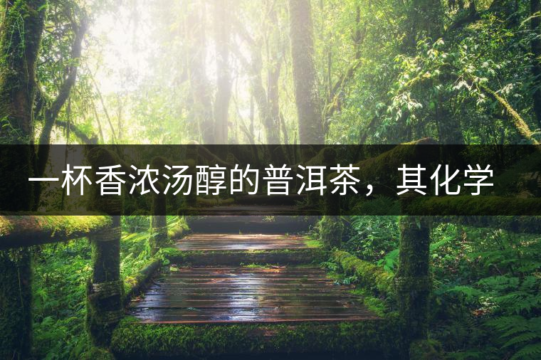 一杯香濃湯醇的普洱茶，其化學(xué)成分是怎樣的？