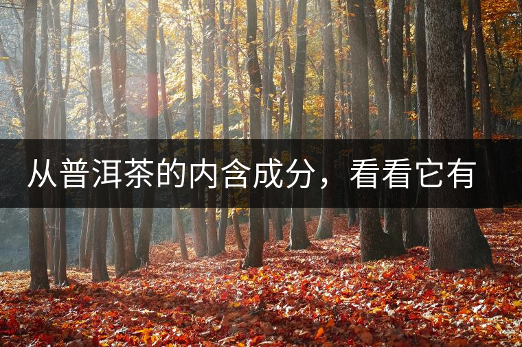 從普洱茶的內(nèi)含成分，看看它有什么功效？