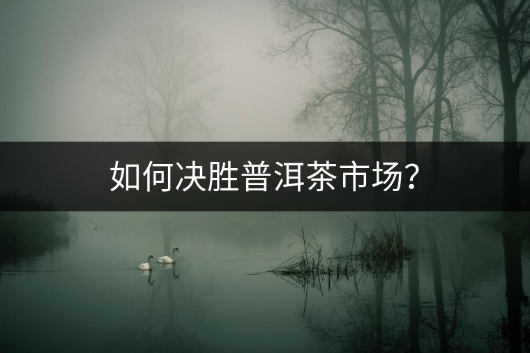 如何決勝普洱茶市場(chǎng)？